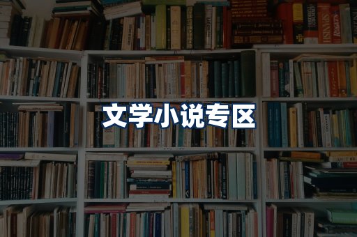 文学小说PDF展示
